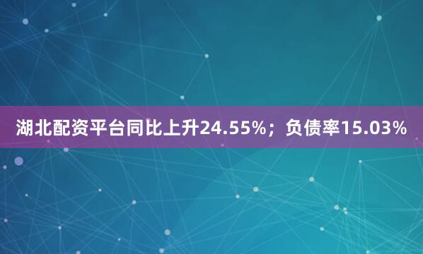 湖北配资平台同比上升24.55%；负债率15.03%
