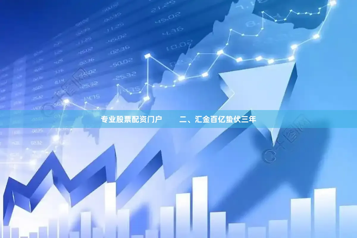 专业股票配资门户        二、汇金百亿蛰伏三年